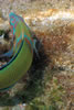 Closeup van de mooi gekleurde vis